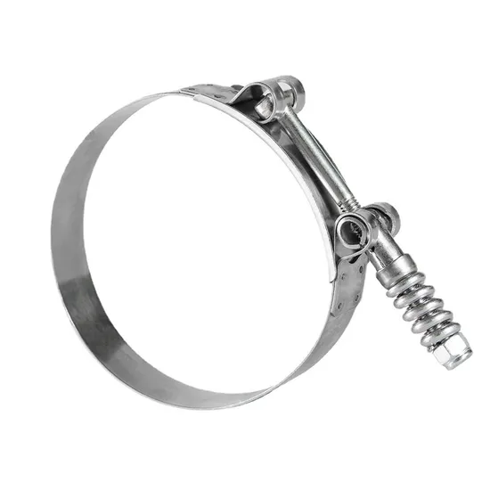 Hose Clamp High Quality High Pressure Hose Clips France Type Double Wire/Rings Hose Clamp for Water Pipe